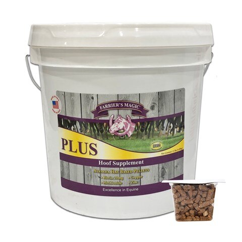 A horse eagerly eating from a bucket filled with Farrier's Magic Supplement, surrounded by a peaceful pasture with lush green grass and a clear blue sky above