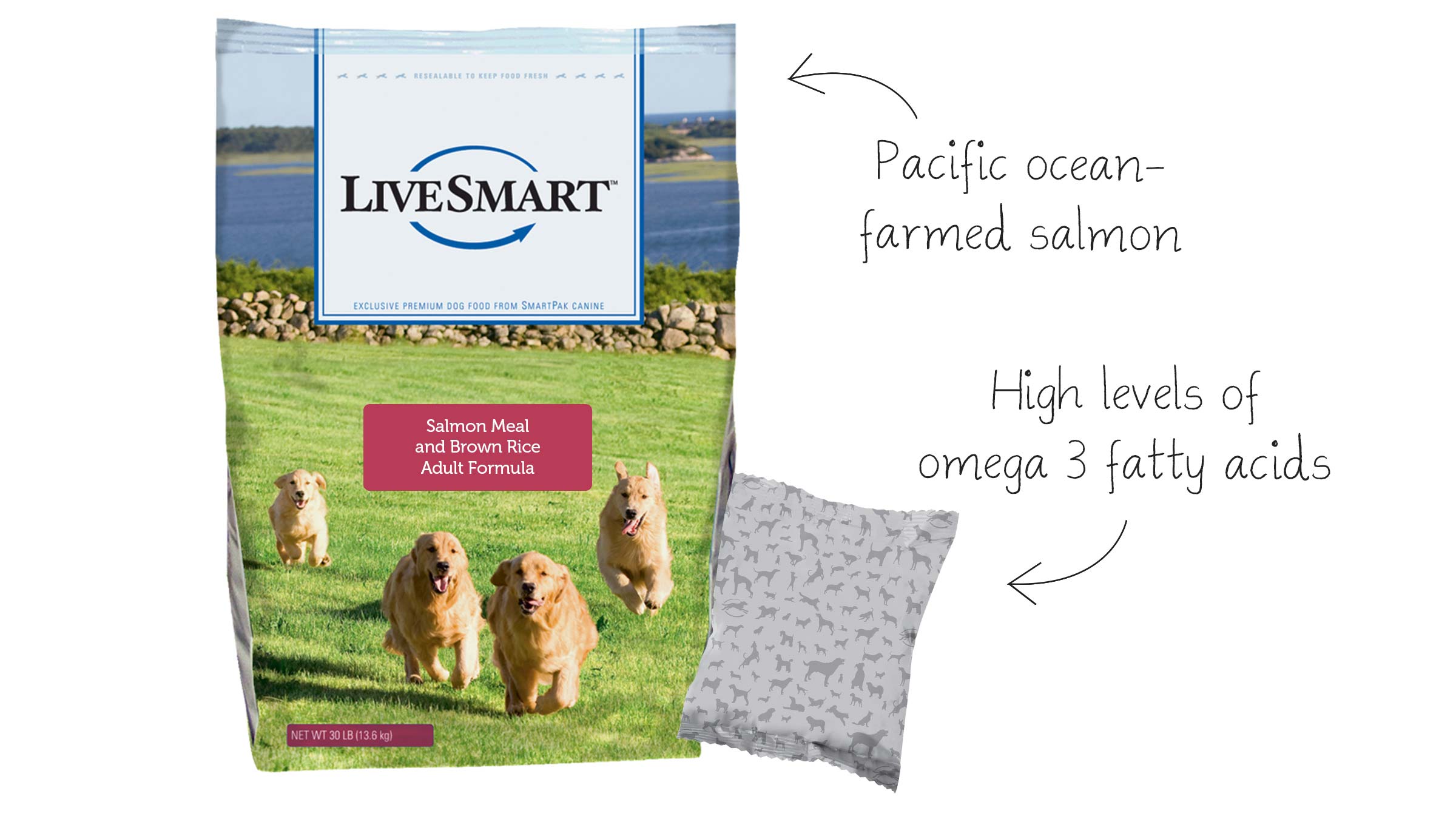 Livesmart Salmon Meal And Brown Rice Adult Dog Formula