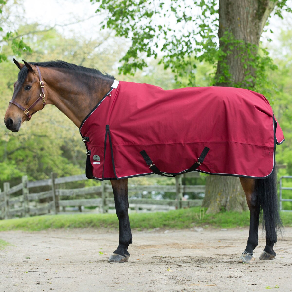 Details about   Smartpak Ultimate Easy motion High Neck Waterproof Turnout Blanket Heavy 87” 
