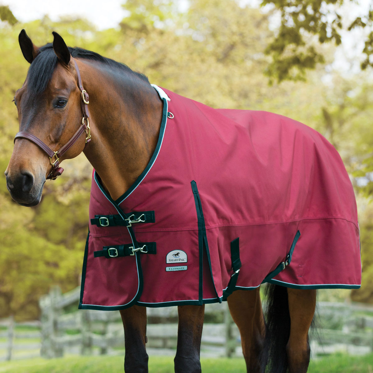 Smartpak Ultimate Turnout Blanket Clearance