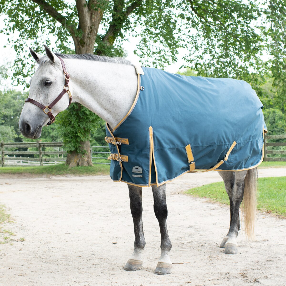 Smartpak Ultimate Turnout Blanket Clearance