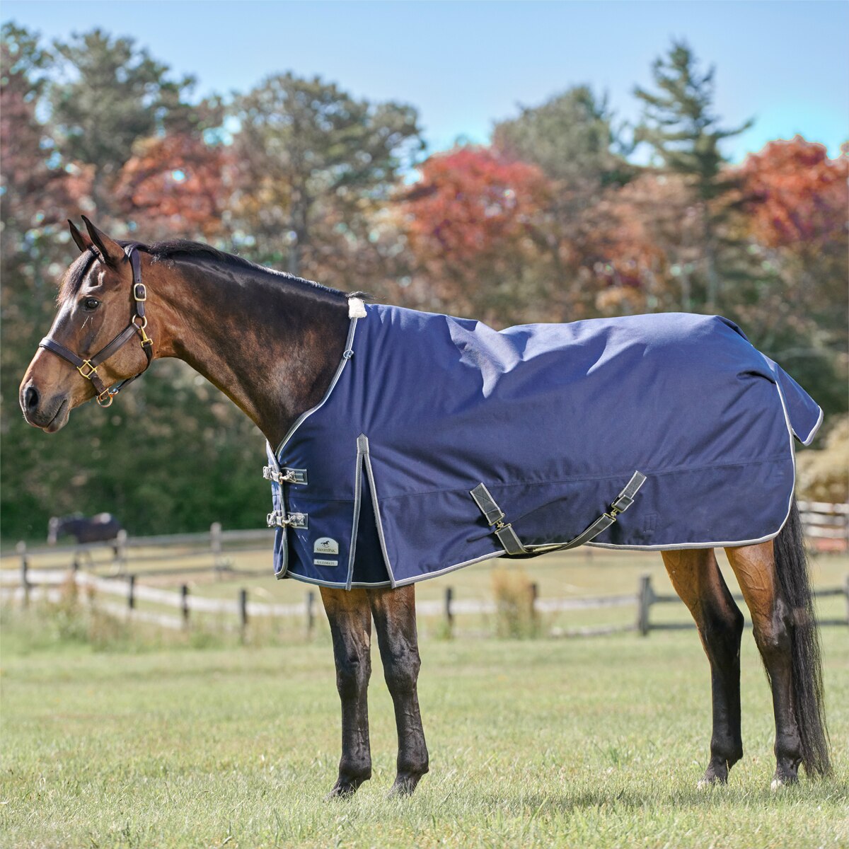 Super Heavweight Turnout 1200D 69" to 84" 300 Grams Winter Horse Blanket 
