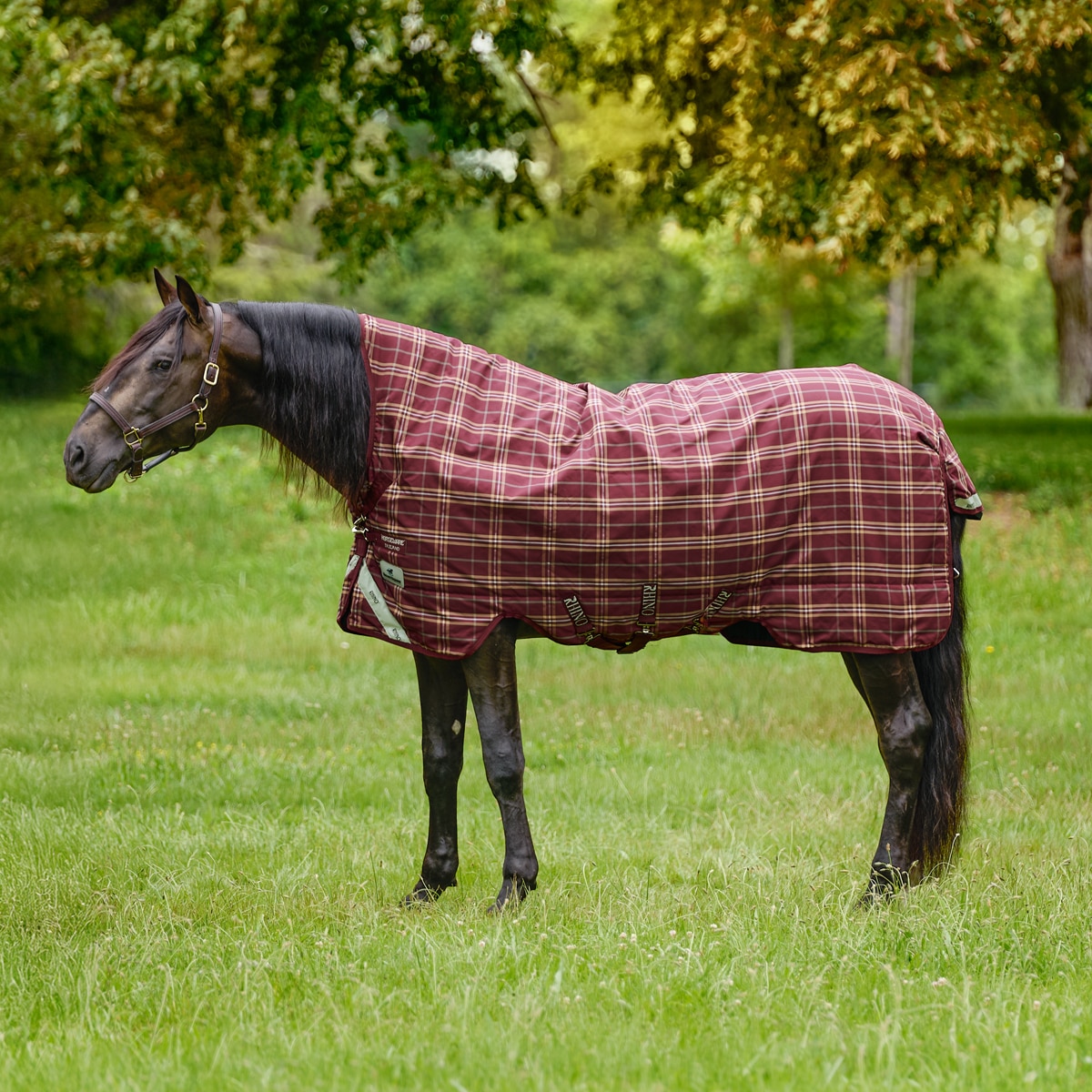 20666_merlotplaid-0871.jpg