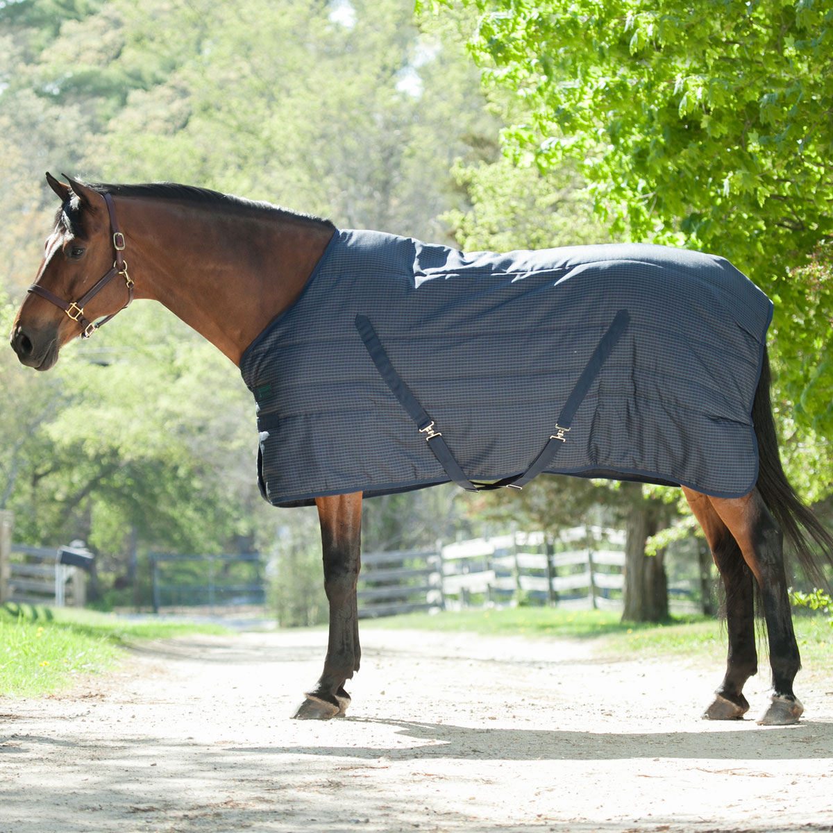 Rhino SmartPak Collection Stable Blanket Clearance!