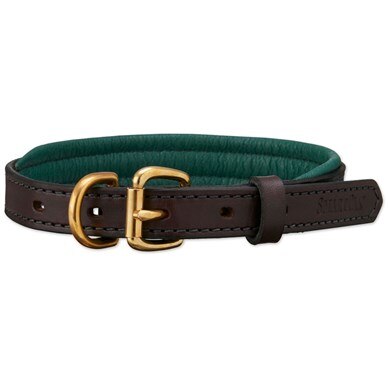 are leather collars bad for dogs