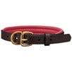 SmartPak Soft Padded Leather Dog Collar - 