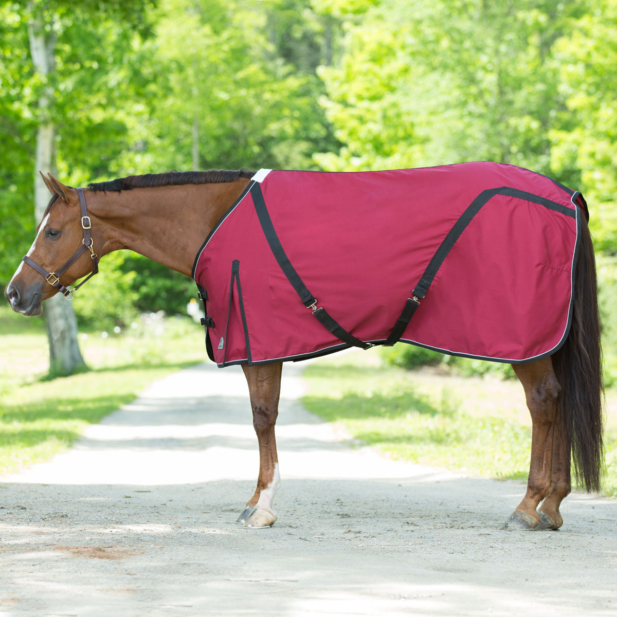 SmartPak Pony Stable Sheet Clearance!