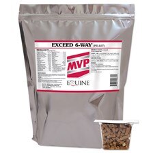 Exceed 6-Way™