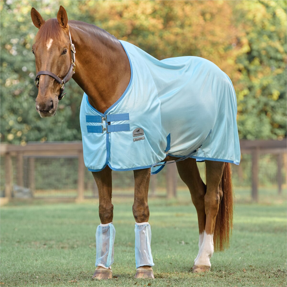 Medium Classic Equine Lightweight Adjustable Horse Flysheet Belly Guard Black for sale online 