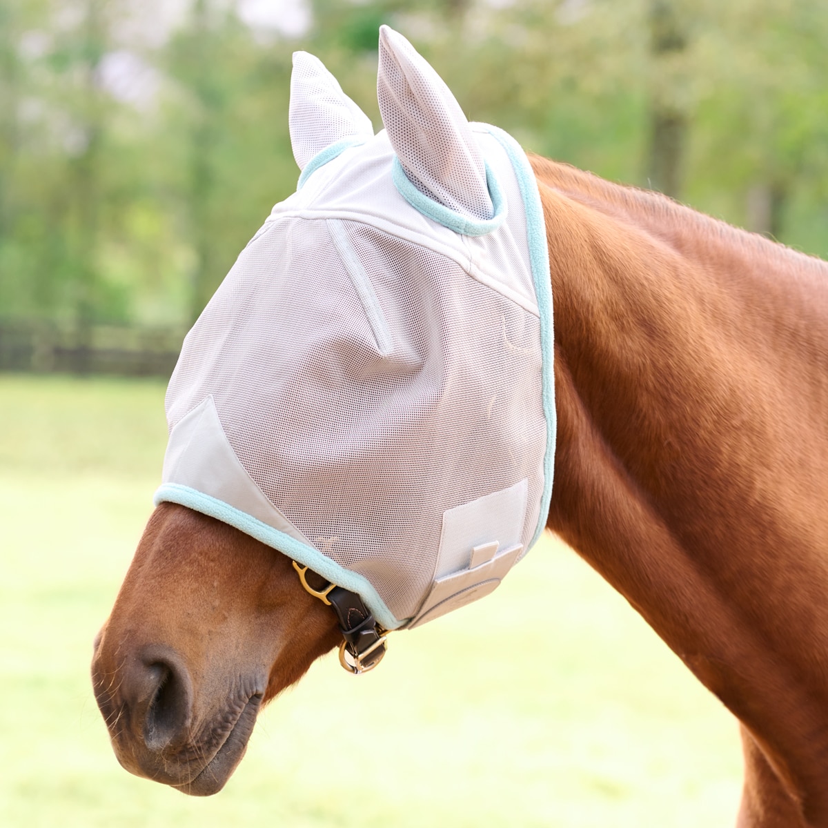 ETbotu Pet Supplies Breathable Anti Mosquito Horse Fly Mask with Ear for Summer blue M