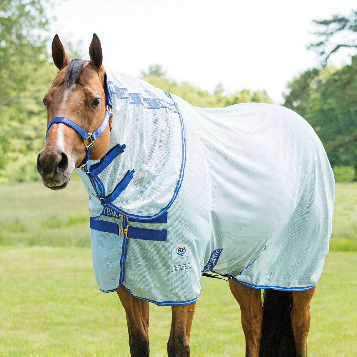 Rockin' SP® Quarter Horse Cut Deluxe Fly Sheet with NoFly Zone