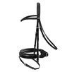 Passier Apollo Snaffle Bridle - 