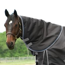 SmartPak Ultimate Neck Rug