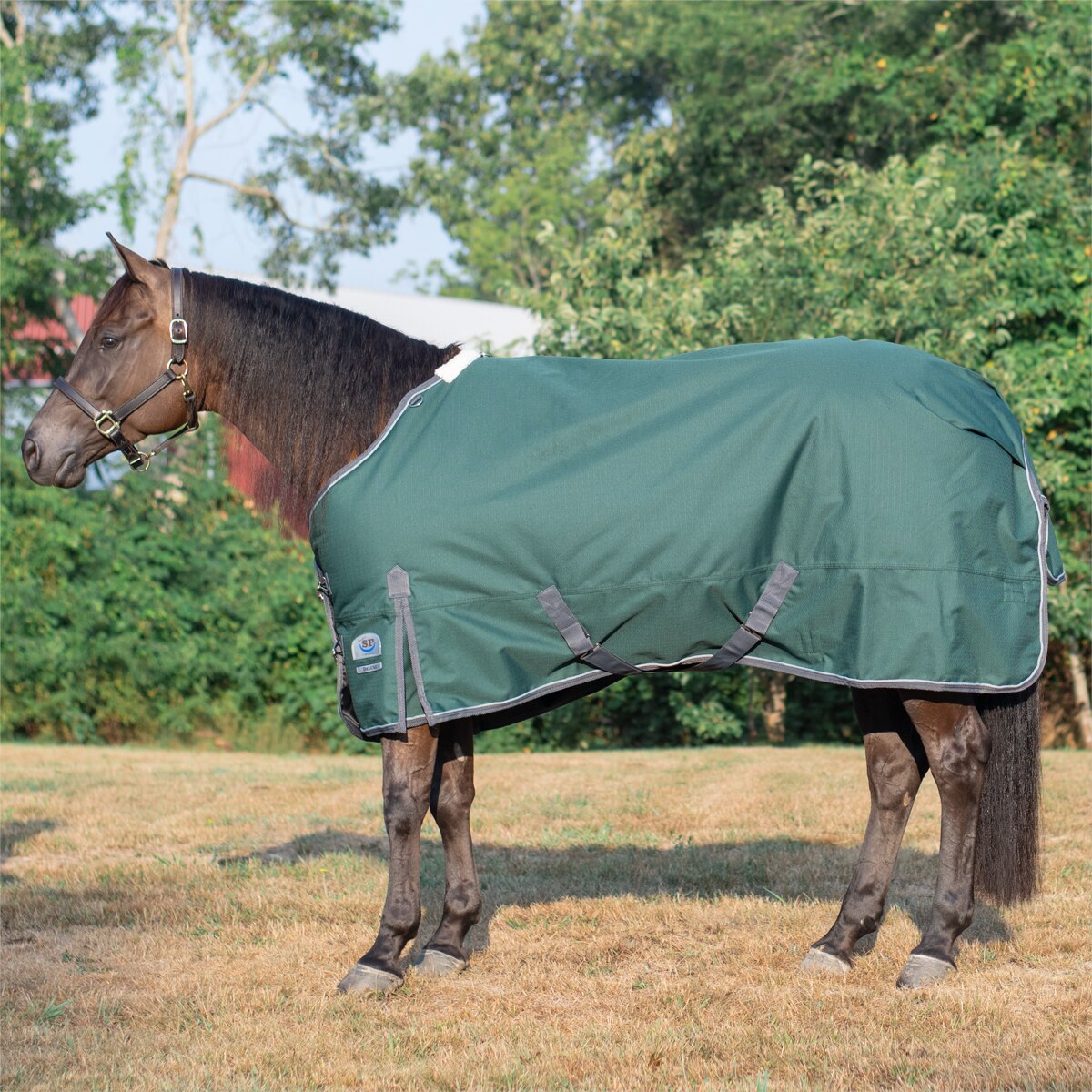 Rockin' SP® Deluxe Waterproof Turnout Sheet