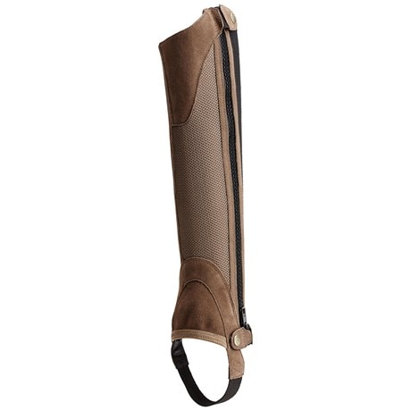 ariat half chaps womens