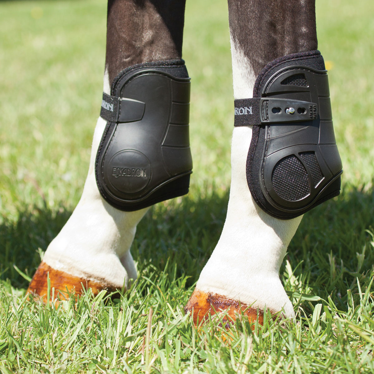 Horse Ankle Boots - SmartPak.