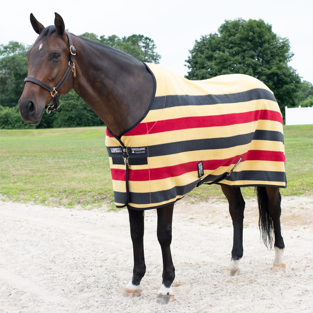 Horse Fleece Cooler Blanket Liner  69" Red 