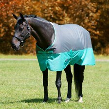WeatherBeeta ComFiTec Genero 1200D Standard Neck Turnout Blanket made Exclusively for SmartPak
