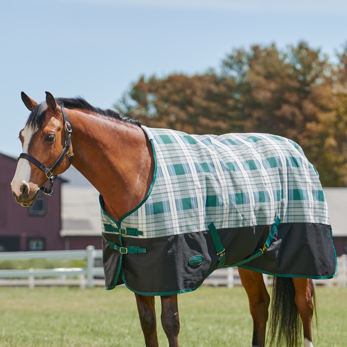 TGW RIDING 1200Denier Waterproof and Breathable Horse Sheet Horse Blanket Standard Neck Turnout Sheet Lite 