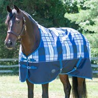 WeatherBeeta ComFiTec Genero 1200D Standard Neck Turnout Sheet made Exclusively for SmartPak - Clearance!