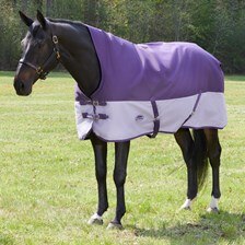 WeatherBeeta ComFiTec Genero 1200D High Neck Turnout Blanket made Exclusively for SmartPak
