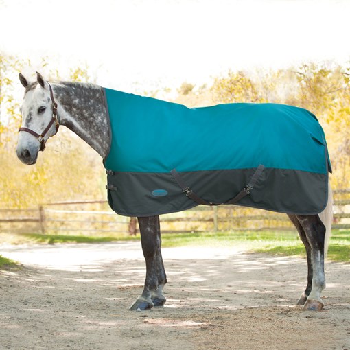 Weatherbeeta Genero 1200D High Neck Turnout Blanke