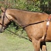 Tory Leather Vienna Side Reins - 