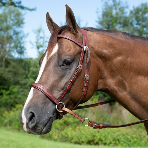 Dr. Cook Bitless Western Headstall