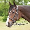 Dr. Cook&reg; Bitless Western Headstall - Black