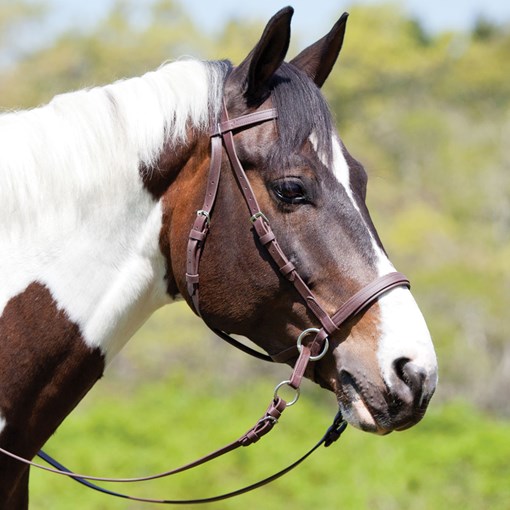 Laced English Leather Reins - The Bitless Bridle by Dr. Robert Cook