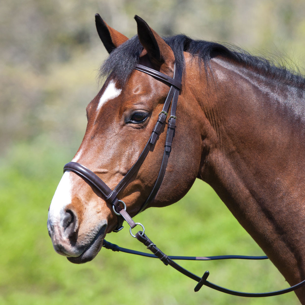 Black Comfort Padded Leather Cross Under Style  Bitless Bridle Cob Size 