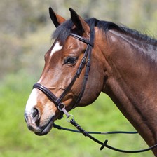 Dr. Cook® Leather Bitless Bridle