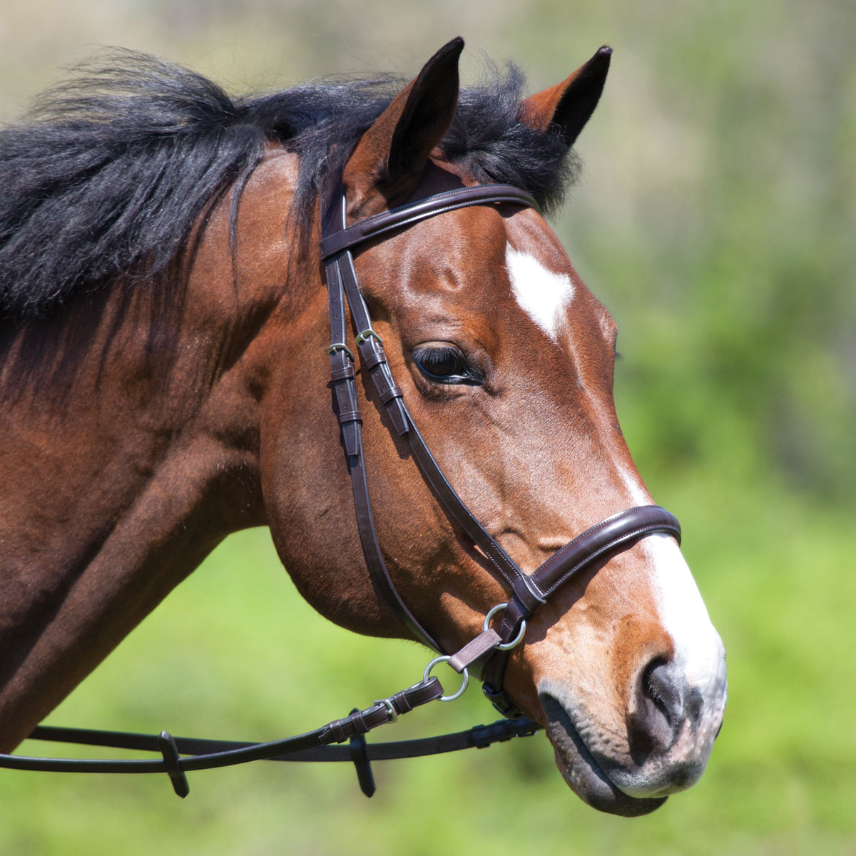 Dr. Cook® Leather Bitless Bridle