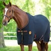 Rambo&reg; Ionic Stable Sheet - 