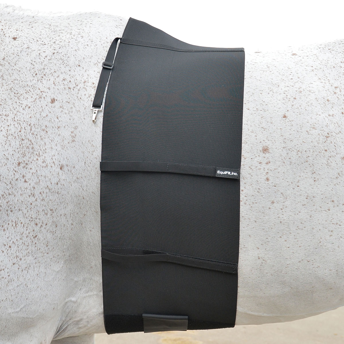 44cm STRAP for GIRTH SURCINGLE RUG BAG Dog Coat 1in WIDE 25mm 