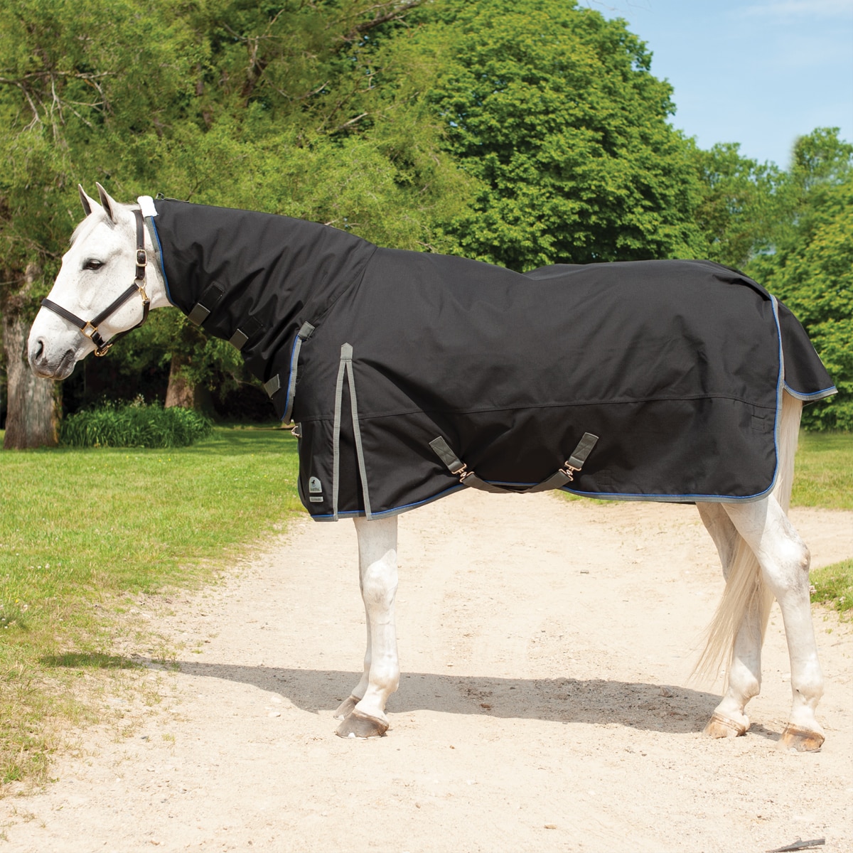 Fleece neck  sweat cover for arabian horse 3" width velcro fastener 