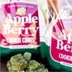 Standlee Apple Berry Cookie Cubes - 5 lb