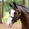 SmartPak Twisted Leather Halter  - 