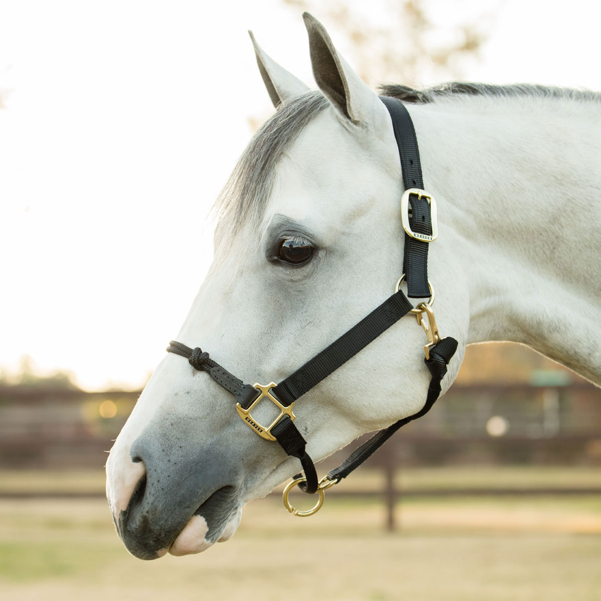 Hybrid Nylon Halter®