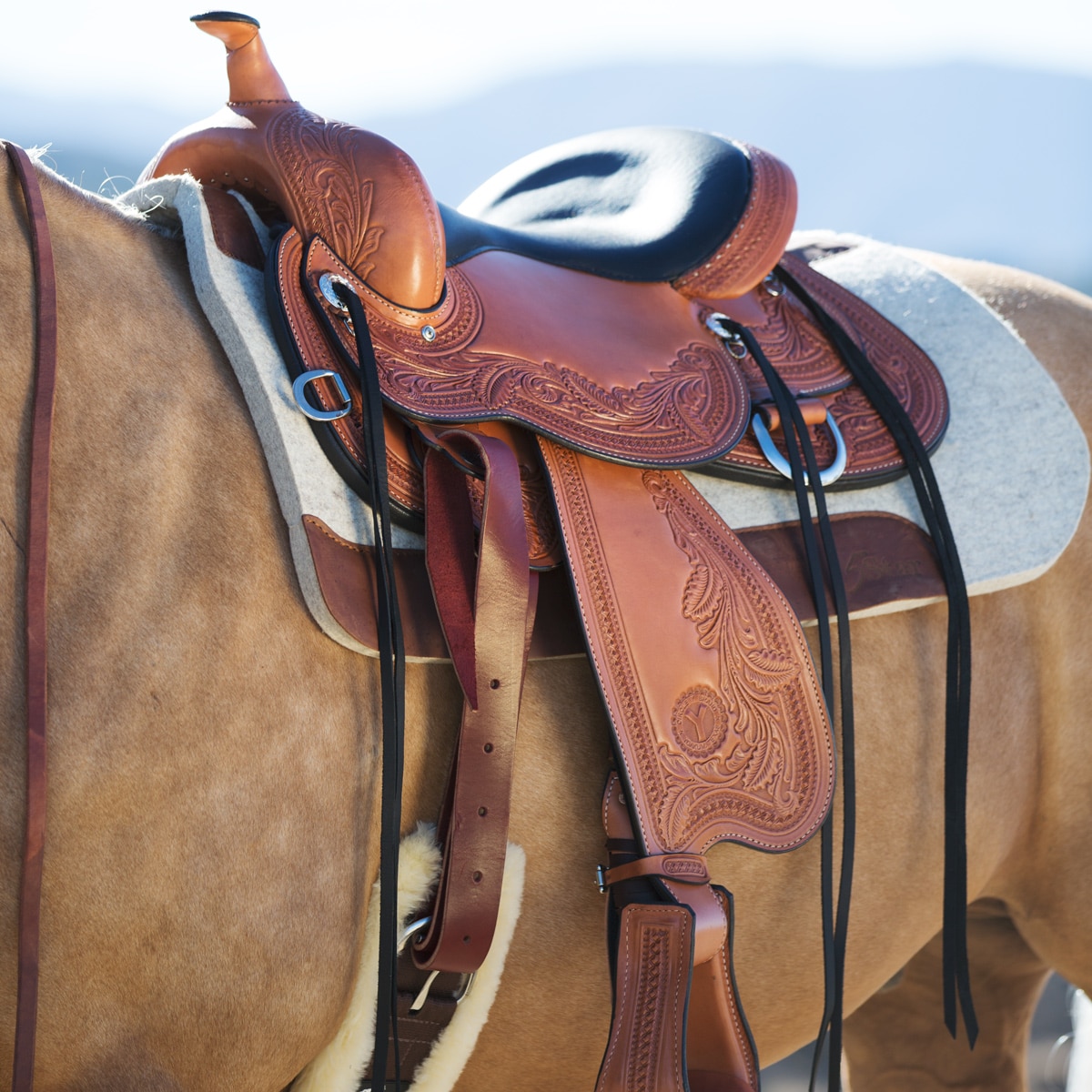 Correctly fitted western saddle on a horse.