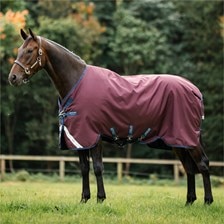Amigo&reg; 1200D Turnout Sheet