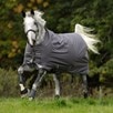 Amigo&reg; 1200D Turnout Sheet - 
