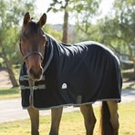 SmartPak Fleece Quarter Sheet Review 