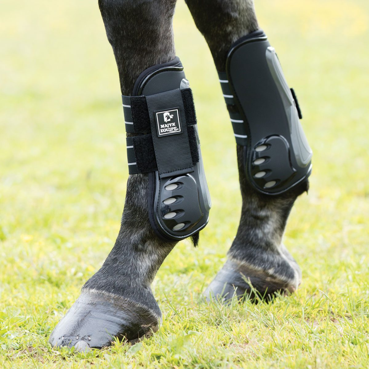 Buy > jumping horse boots > in stock