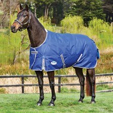 Weatherbeeta ComFiTec Premier Free Standard Neck Turnout Blanket