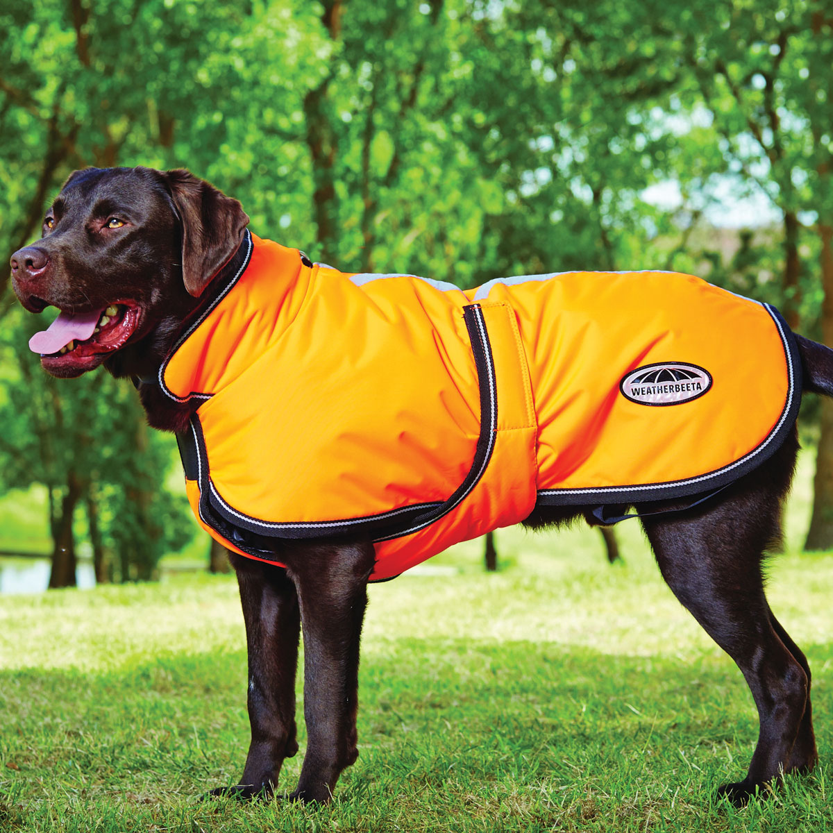 Weatherbeeta 300D Deluxe Reflective Dog Parka