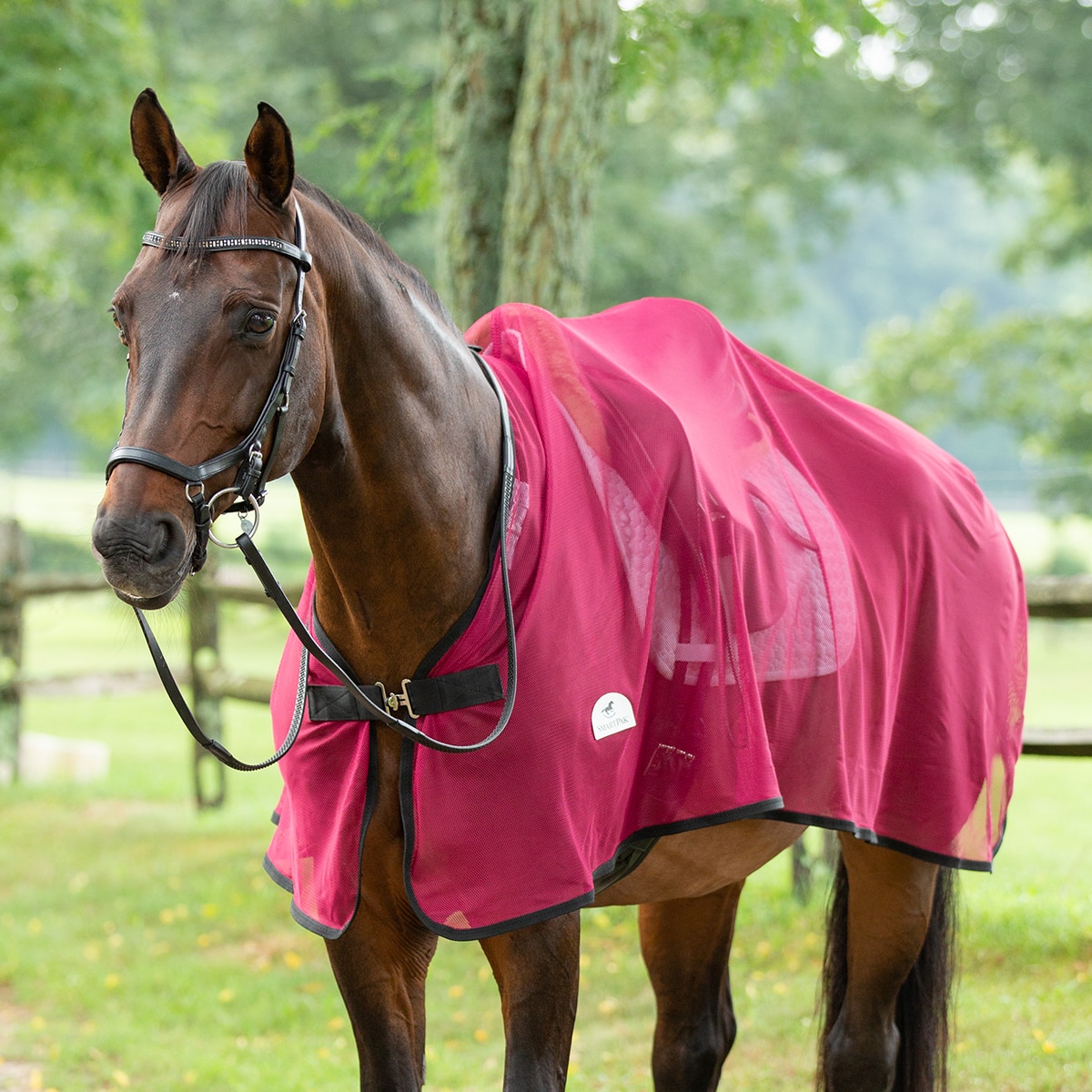 SmartPak Scrim Sheet