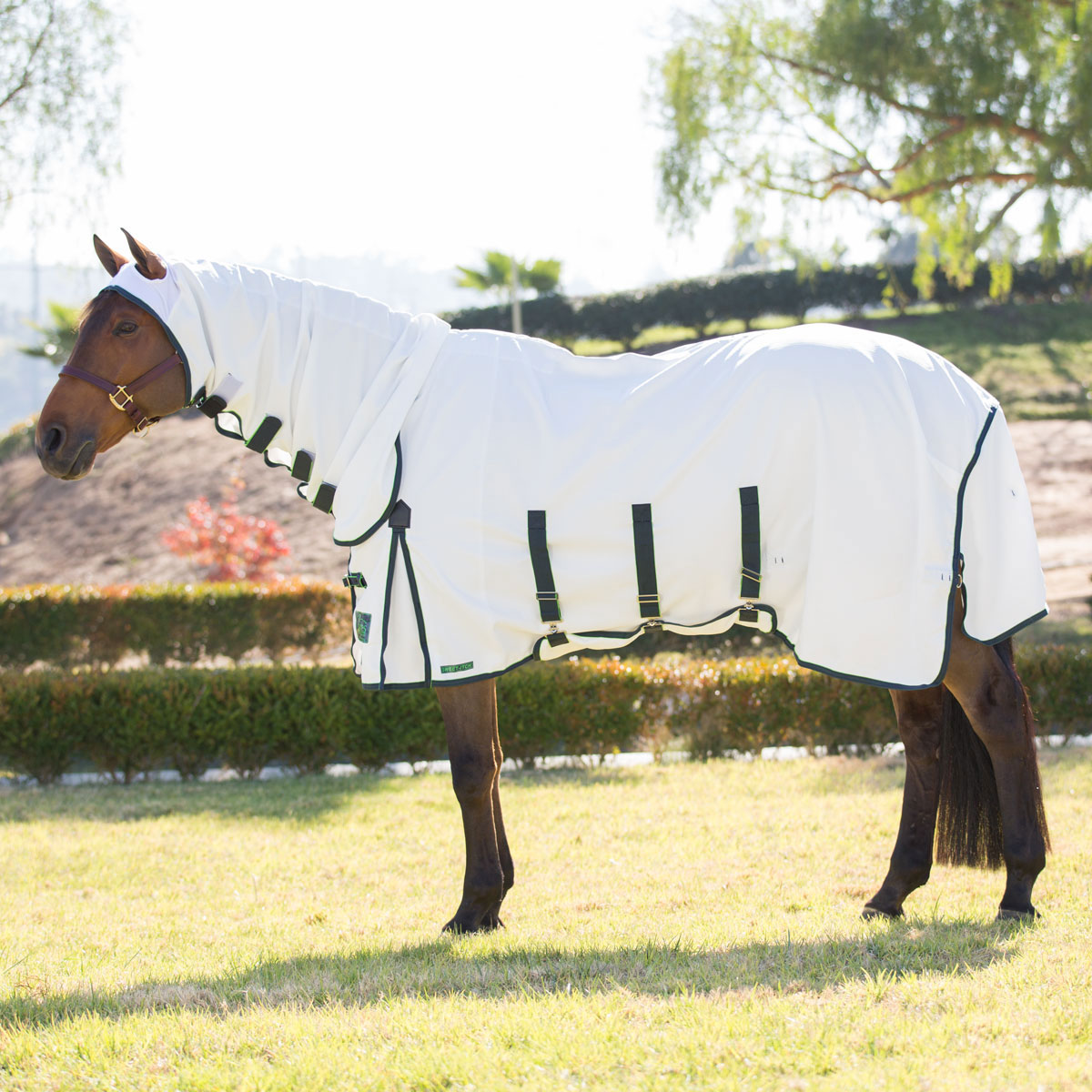Shires Sweet Itch Combo Fly Sheet