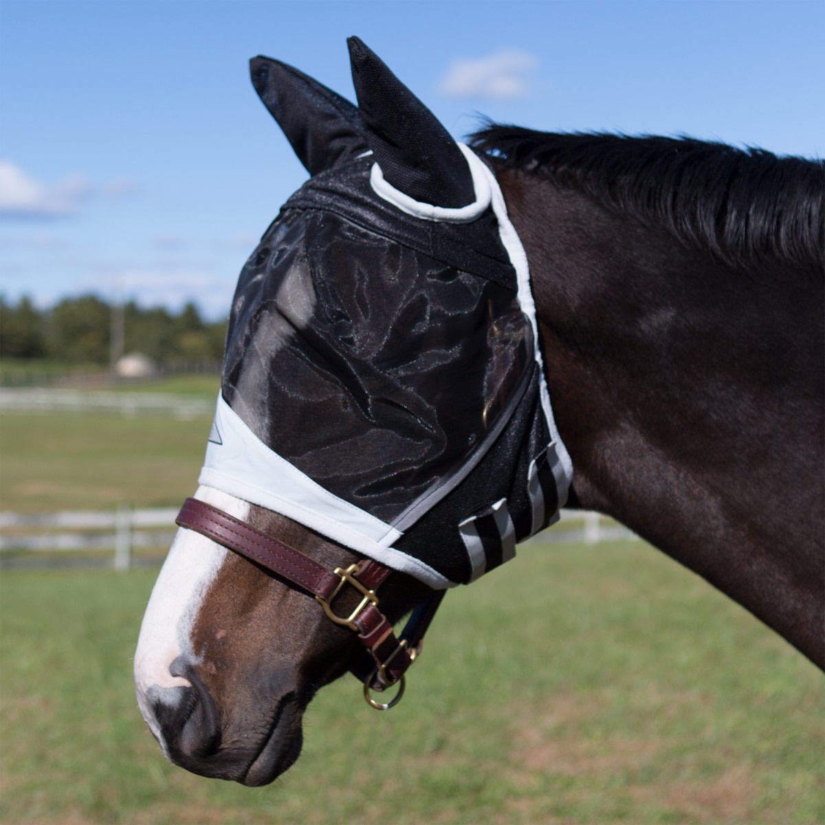 Shires Fine Mesh Fly Mask w/ Ears