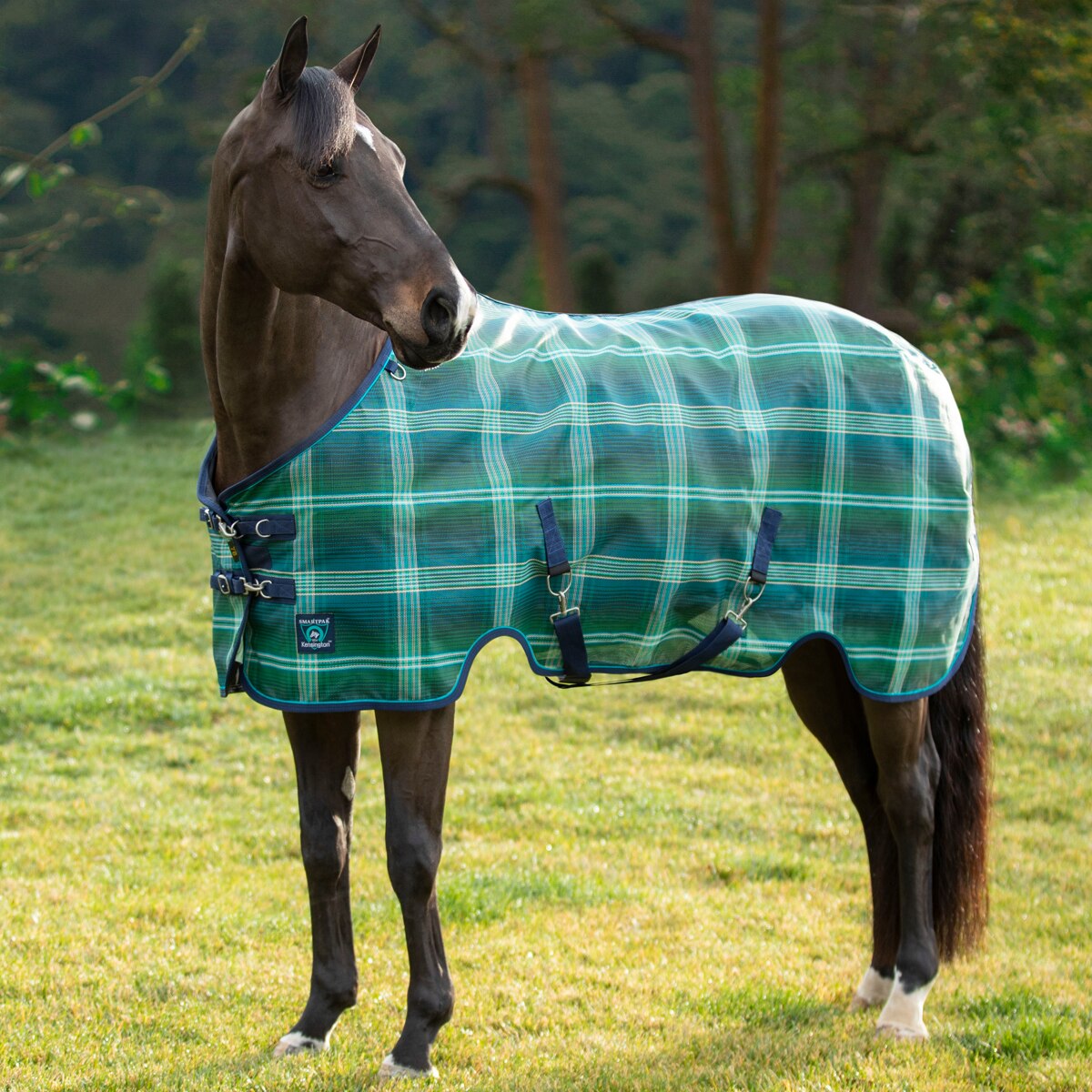 Durable Protection Lightweight Kensington Protective Products Mini All Around Plaid Poly Cotton Stable Day Sheet